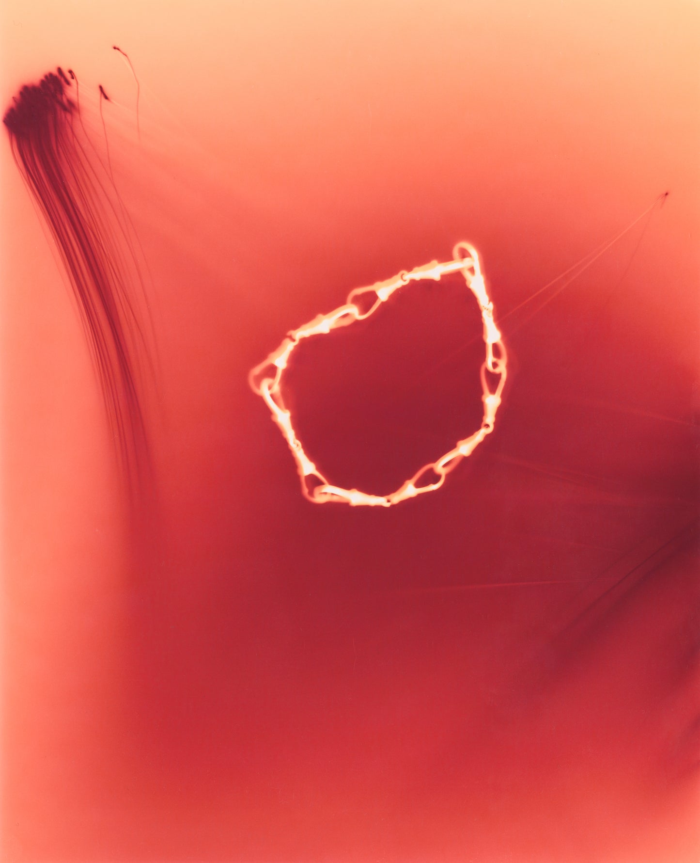 IMPRESSIONS - Albert Clasp Bracelet