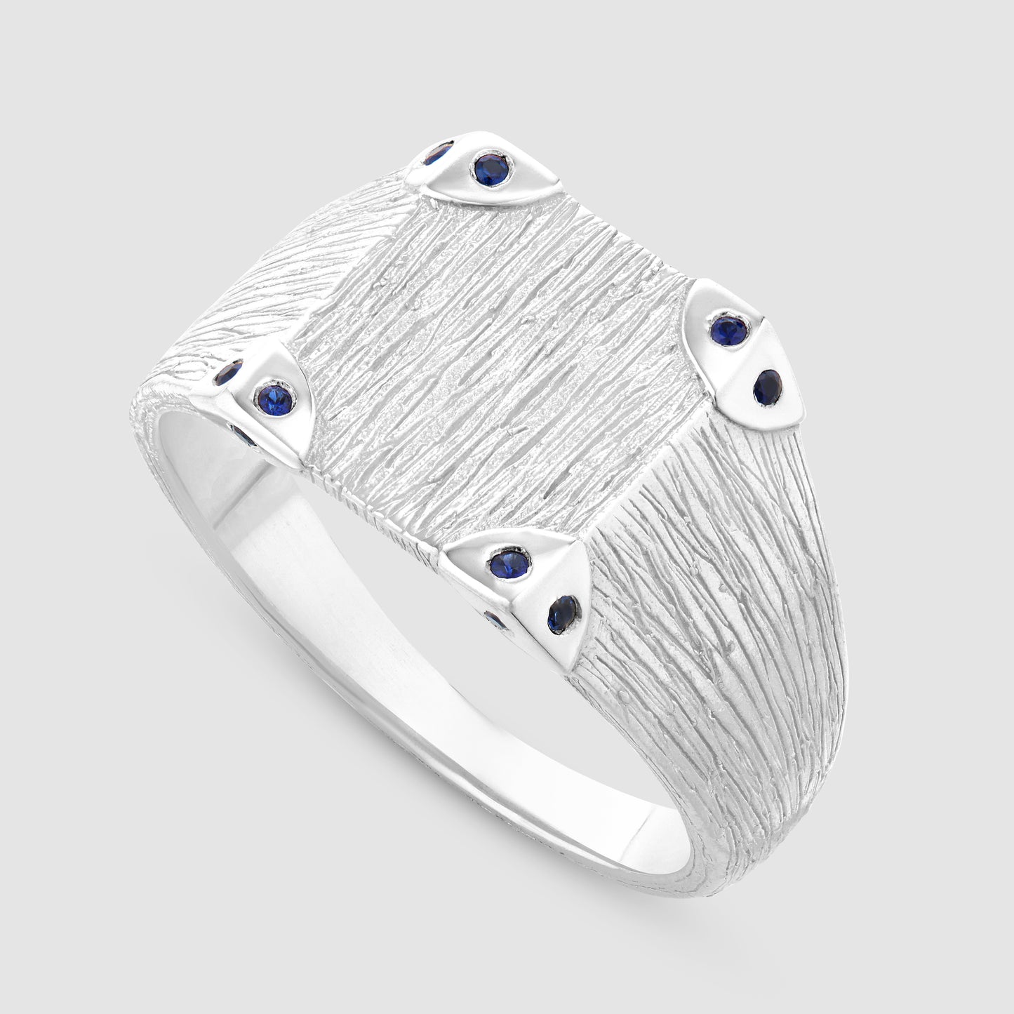 Explorers Signet - Silver