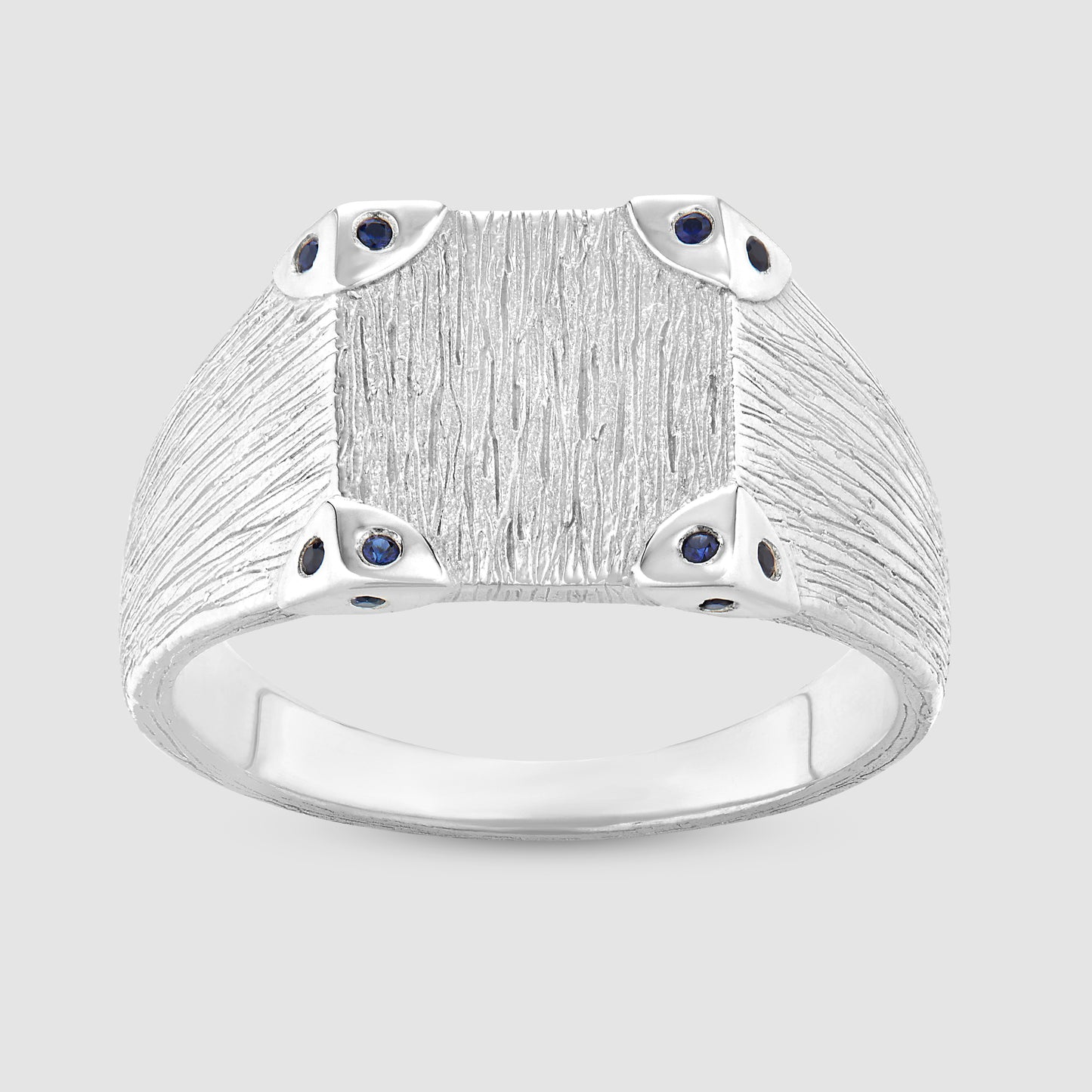 Explorers Signet - Silver