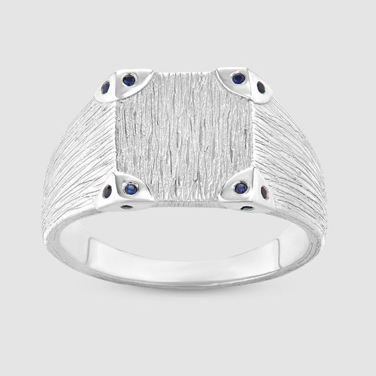 Explorers Signet - Silver